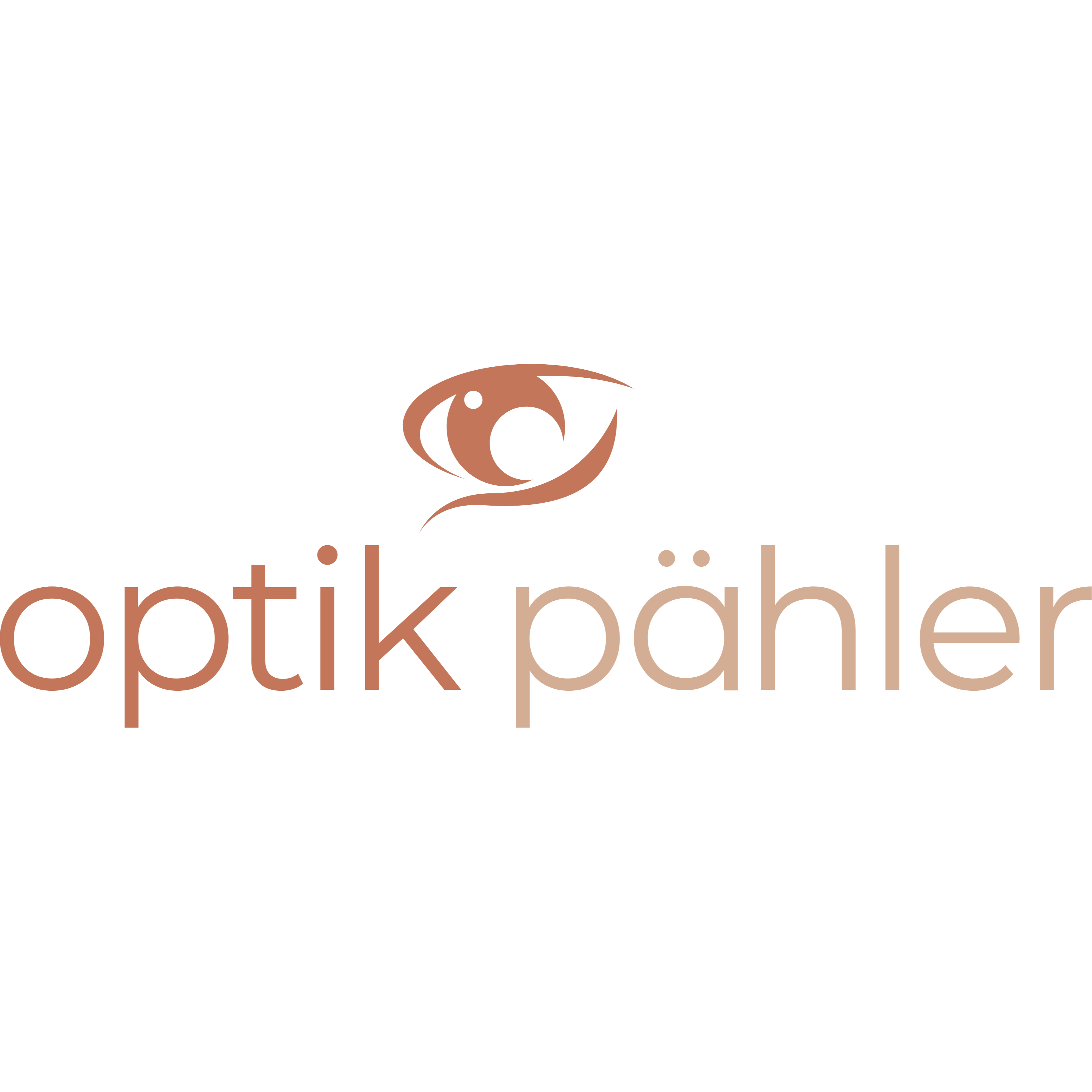 Logo von Optik Pähler