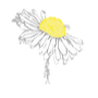 Logo von Julia Klein Heilpraktikerin & spirituelle Mentorin