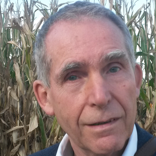 Logo von Praxis für Psychotherapie Frankfurt – Psychotherapeut Priv. Doz. Dr. med. Dr. rer. soc. Norbert Spangenberg