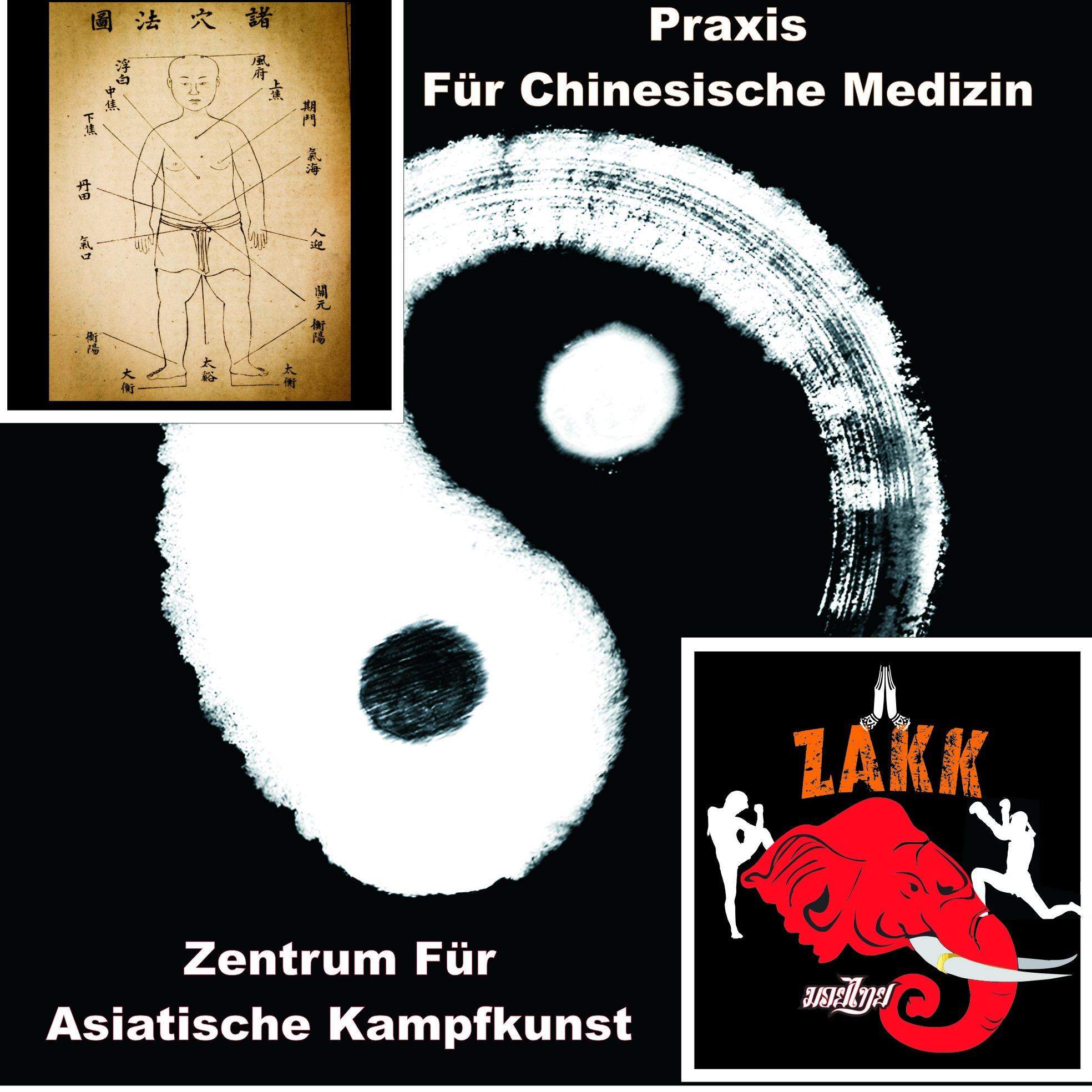 Logo von Daniel Himmelreich Heilpraktiker, Praxis für Chinesische Medizin