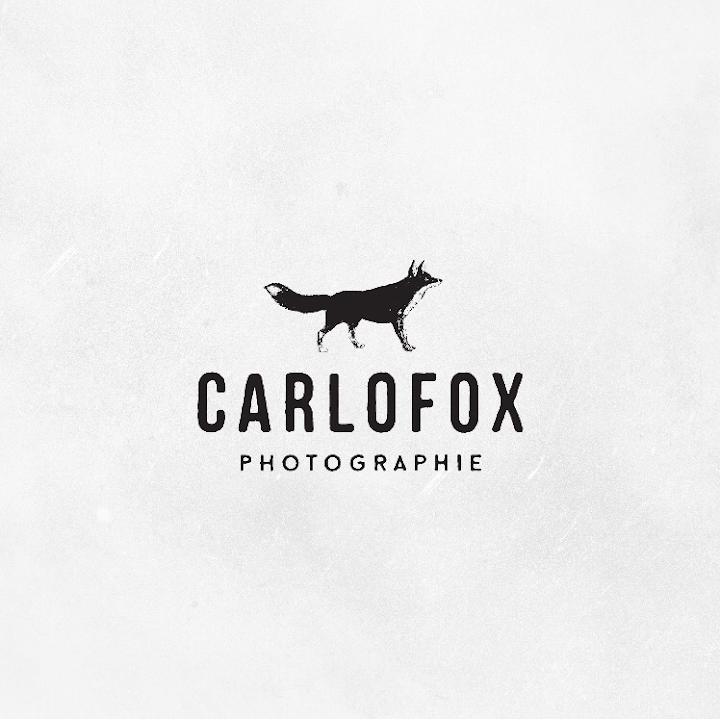 Logo von Hochzeitsfotograf Dresden - CARLOFOX Photographie