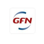 Logo von GFN AG