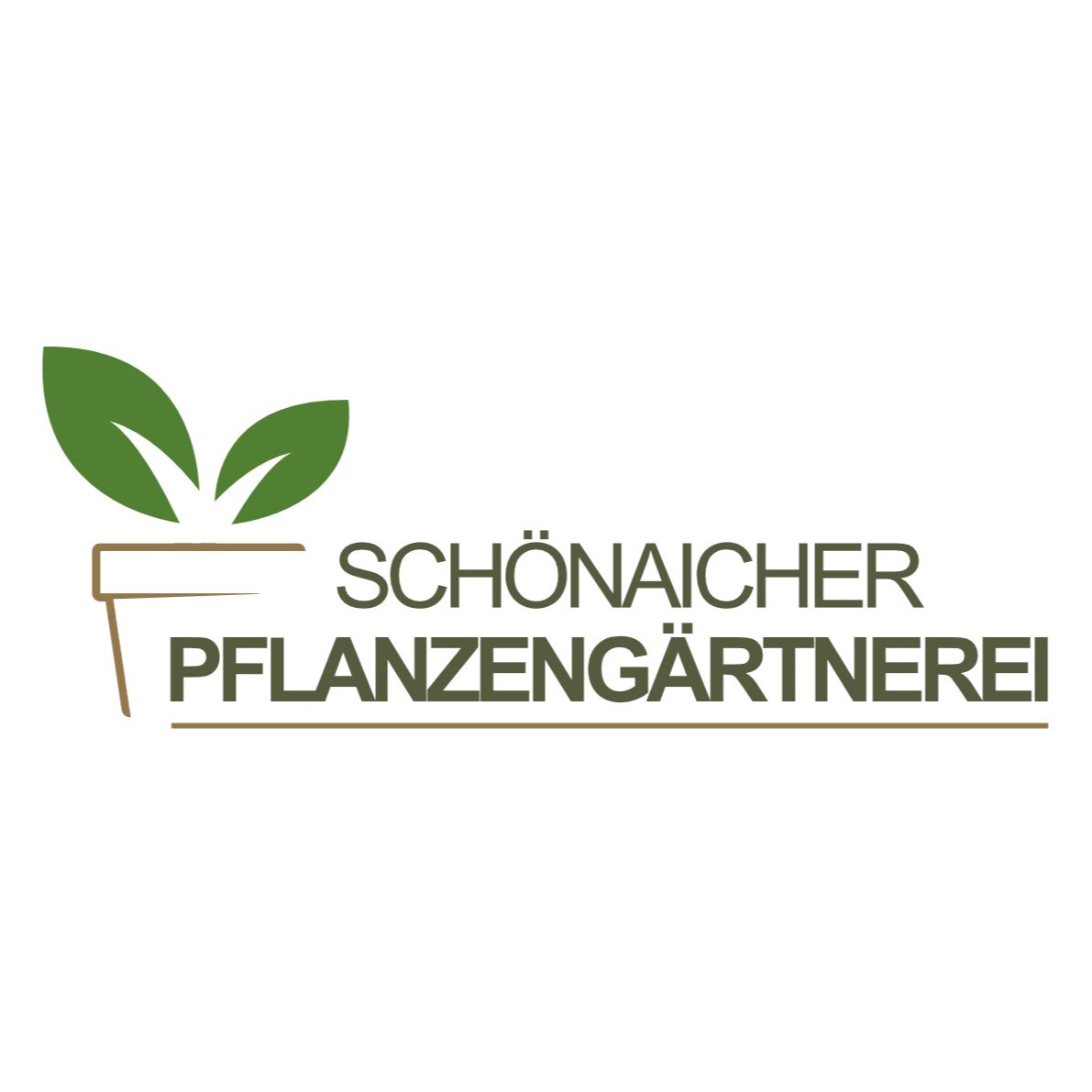 Logo von Schönaicher Pflanzengärtnerei Inh. Werner Metzger Orchideen