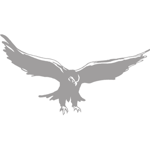 Logo von Adler Landgasthof – ihre Pension in Aach-Linz