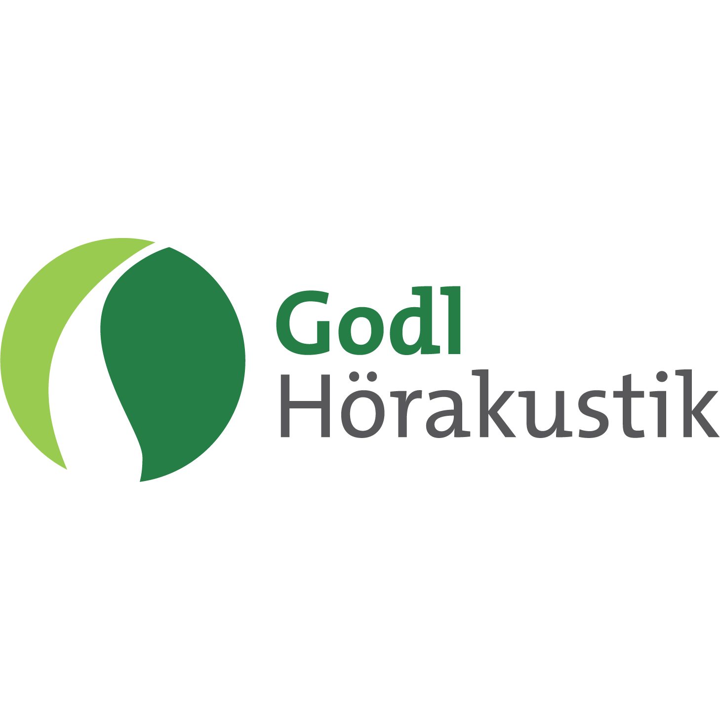 Logo von Godl Hörakustik