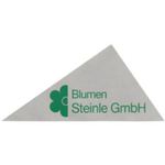 Logo von Blumen Steinle GmbH